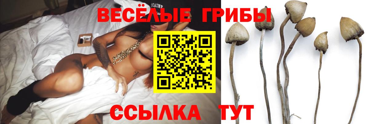 Псилоцибиновые грибы GOLDEN TEACHER  Вход с VPN  Галлюциногенные грибы мицелий  Гатчина 